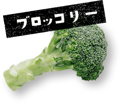 野菜：ブロッコリー