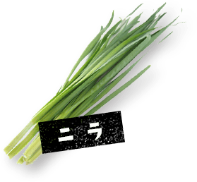 野菜：ニラ