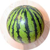 今月のイチオシ：すいかの写真