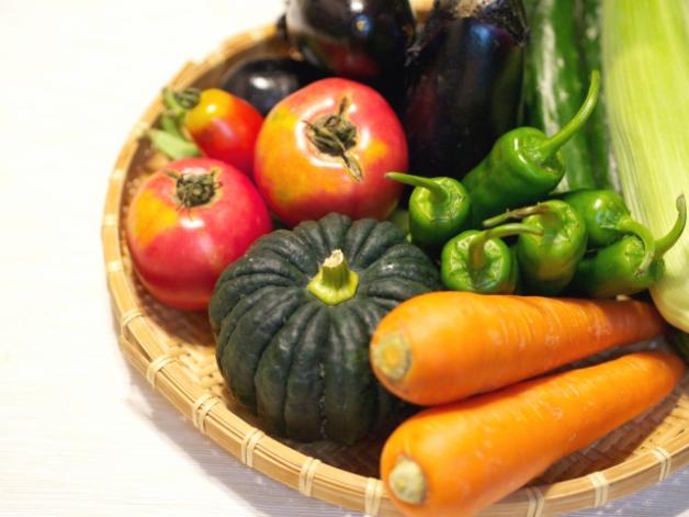 九州のおまかせお野菜セット(5品以上1-2人前)